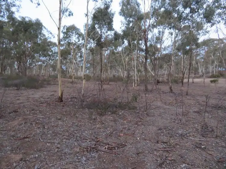 Seventh view of Homely rural property listing, LOT 11 Wheelhouse Road, Wehla VIC 3518