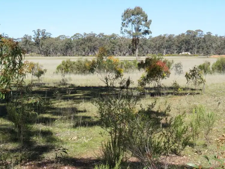 Sixth view of Homely rural property listing, CA12A Sec Christie Road, Inglewood VIC 3517