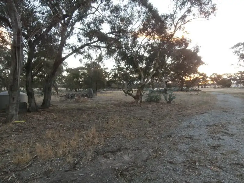 Main view of Homely rural property listing, LOT 17A & 17B Borung Wedderburn Road, Borung VIC 3518
