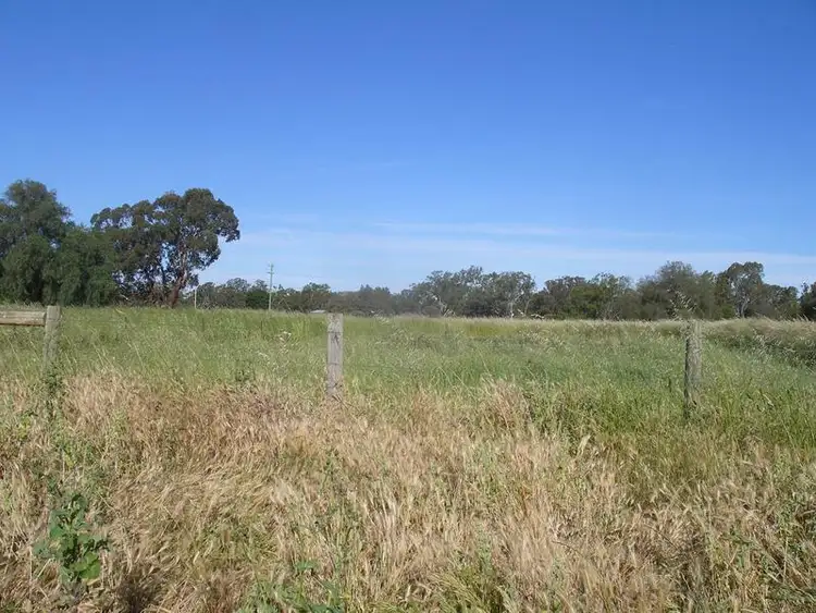 Main view of Homely rural property listing, CA 20 Nelson Street, Newbridge VIC 3551