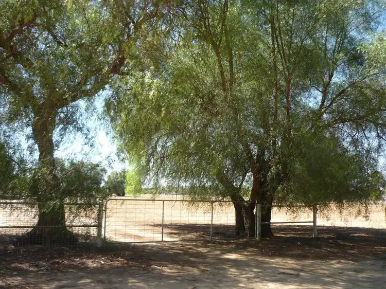Main view of Homely rural property listing, 16 Ellenwood Avenue, Charlton VIC 3525