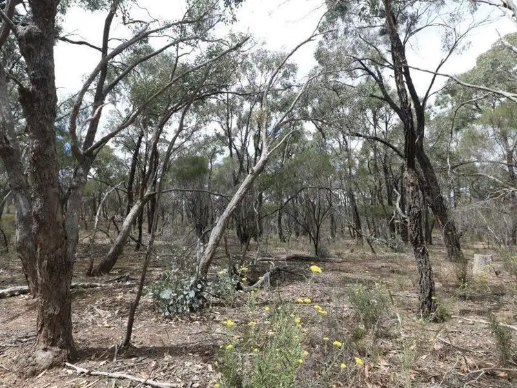 Sixth view of Homely rural property listing, 6 Josephine Drive, Wedderburn VIC 3518