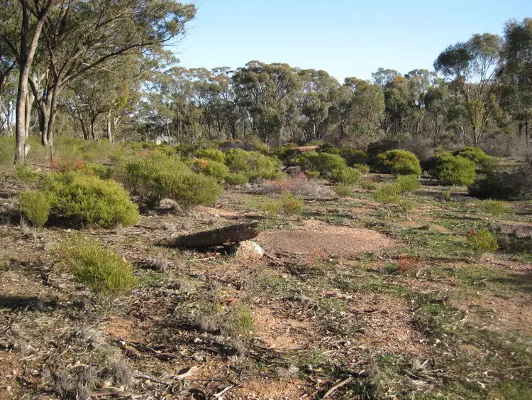 Third view of Homely rural property listing, CA 6 Section 14, Wedderburn VIC 3518