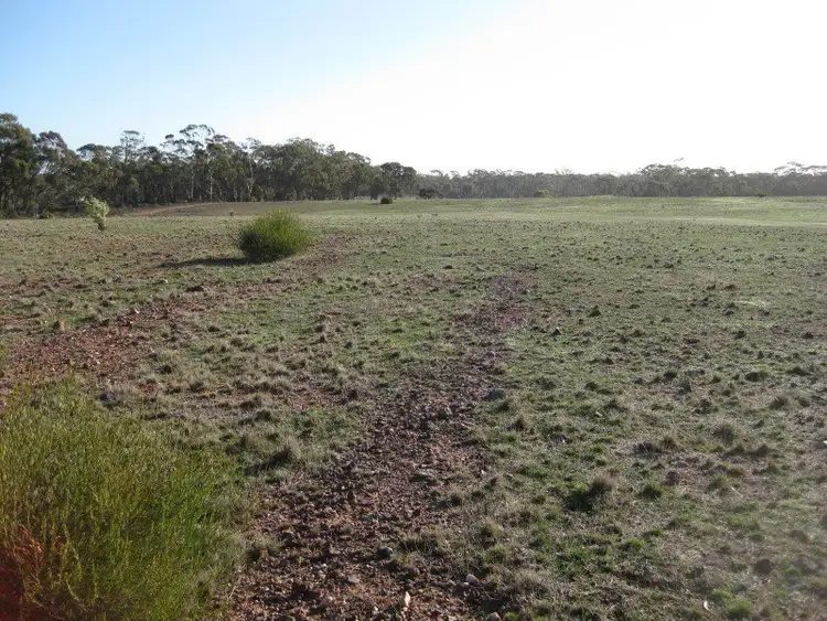 Fifth view of Homely rural property listing, CA 6 Section 14, Wedderburn VIC 3518