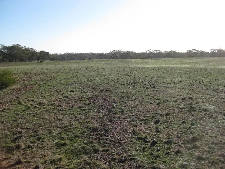 Sixth view of Homely rural property listing, CA 6 Section 14, Wedderburn VIC 3518