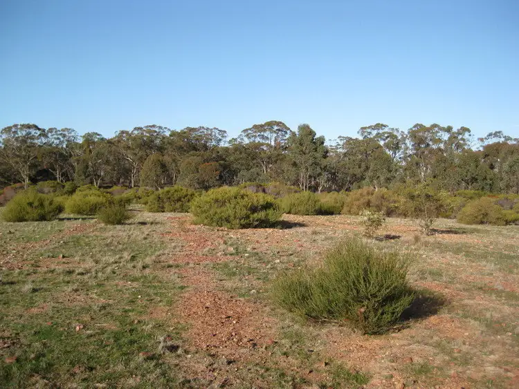 Seventh view of Homely rural property listing, CA 6 Section 14, Wedderburn VIC 3518