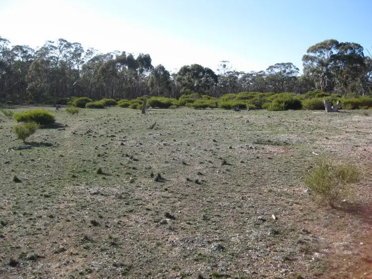 Fifth view of Homely rural property listing, CA 8 Section 14, Wedderburn VIC 3518