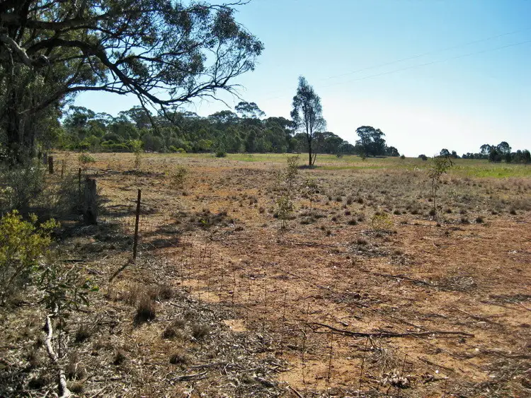 Fourth view of Homely rural property listing, Lot 1 Titwobble Lane, Wedderburn VIC 3518