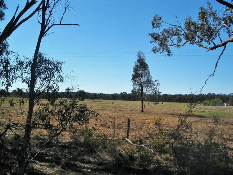 Fifth view of Homely rural property listing, Lot 1 Titwobble Lane, Wedderburn VIC 3518