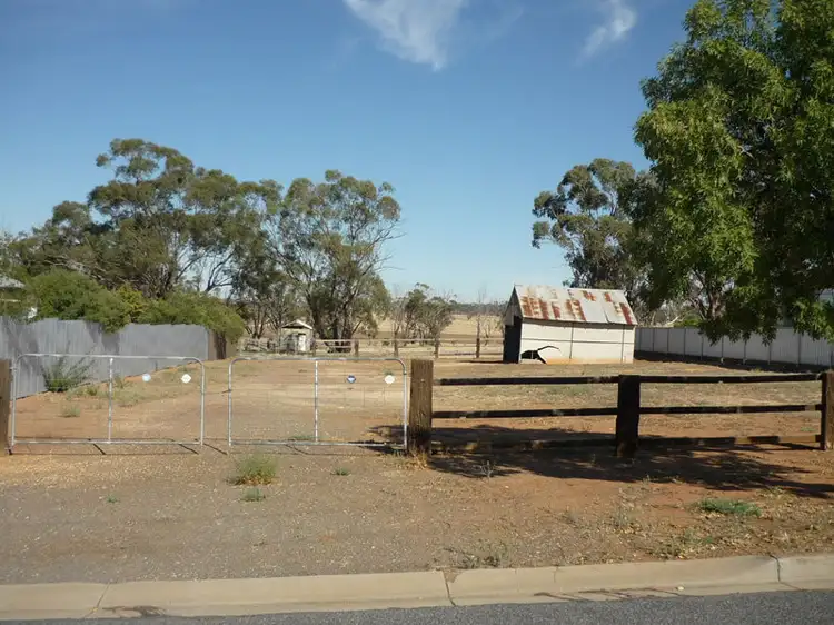 Main view of Homely land listing, Currie Street, Charlton VIC 3525