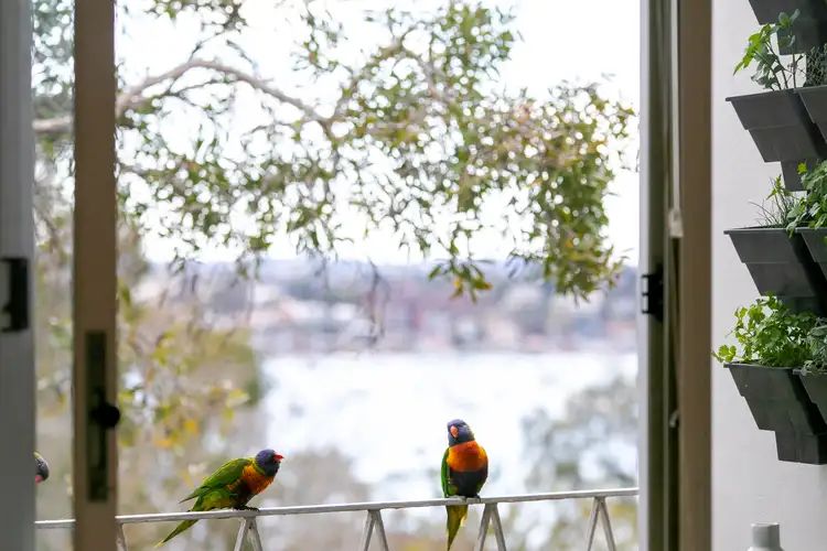 Fourth view of Homely apartment listing, 23/78 Hampden Road, Russell Lea NSW 2046