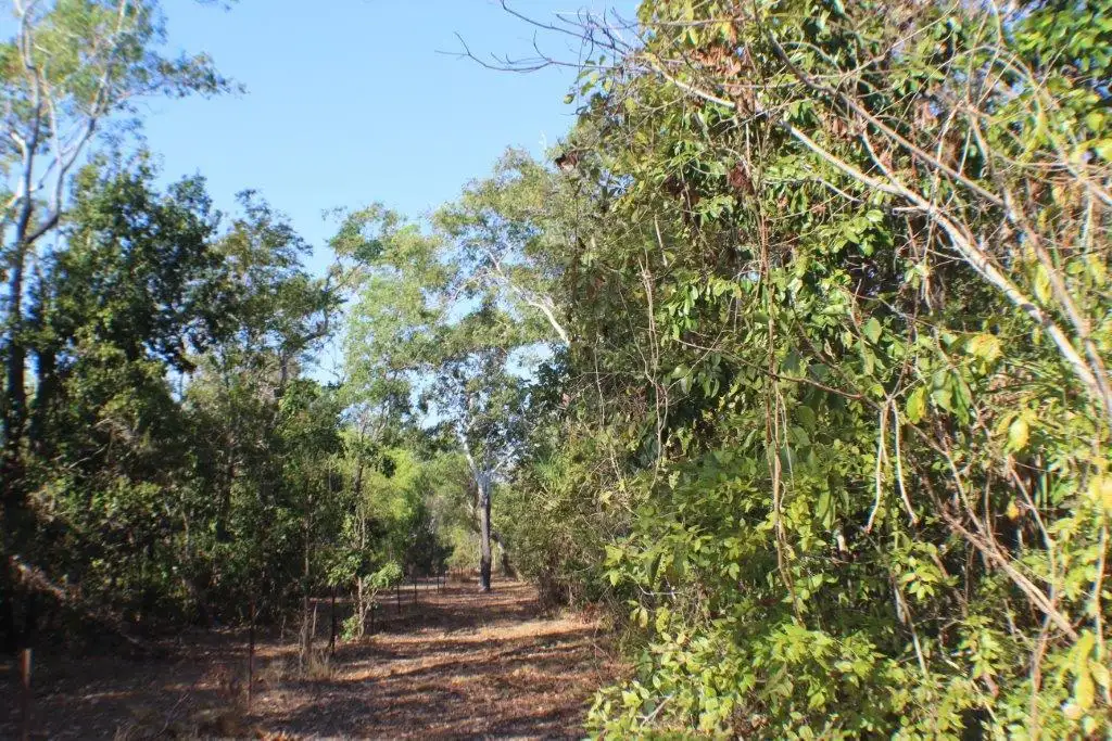 Main view of Homely land listing, 73 Myrmidon Road, Dundee Beach NT 840
