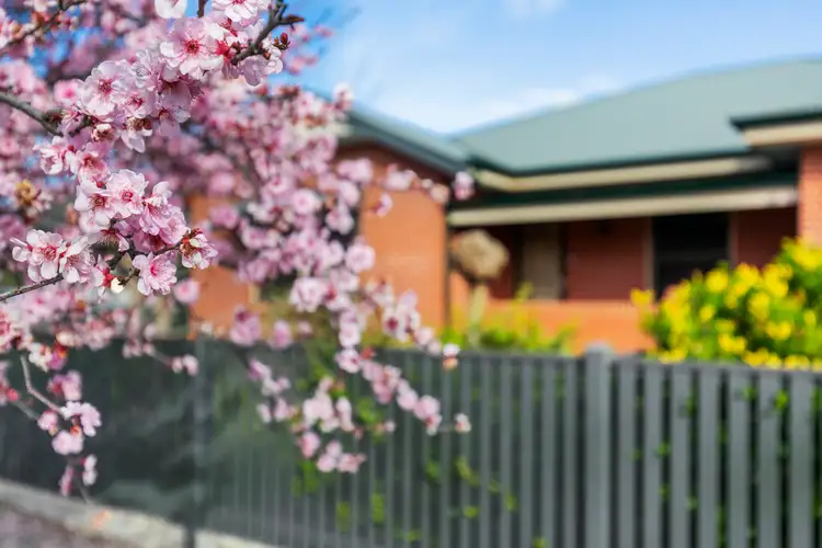 Second view of Homely house listing, 54 Mayfield Avenue, Hectorville SA 5073