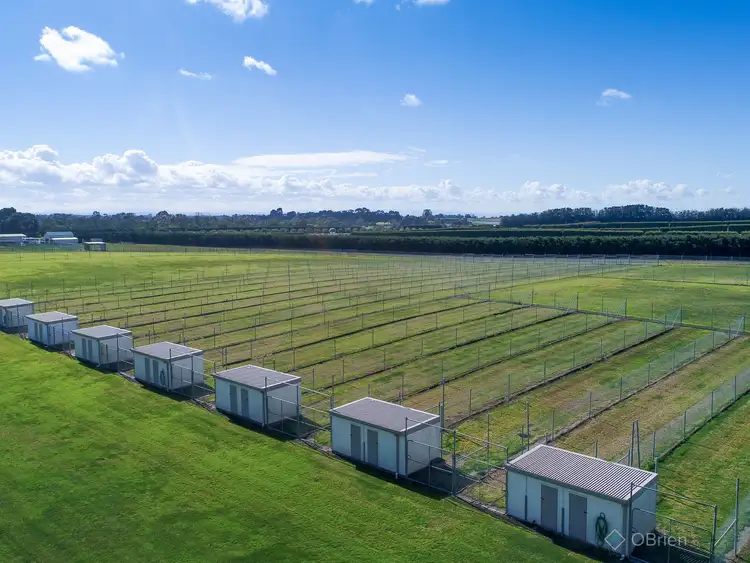 Fourth view of Homely house listing, 114-116 Smiths Lane, Pearcedale VIC 3912