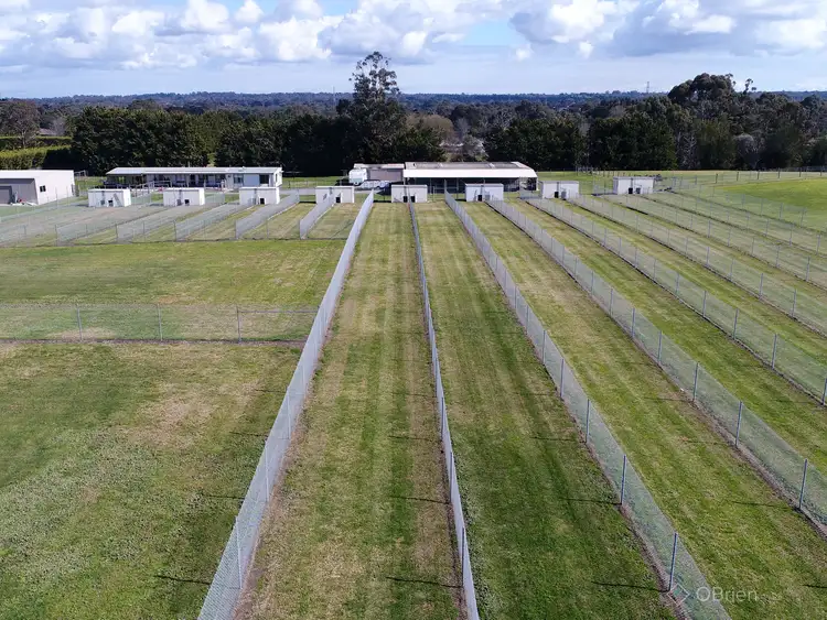 Fifth view of Homely house listing, 114-116 Smiths Lane, Pearcedale VIC 3912