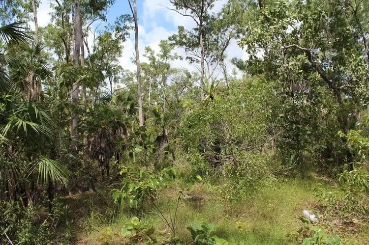 Fourth view of Homely rural property listing, 45 Threadfin Road, Dundee Downs NT 840