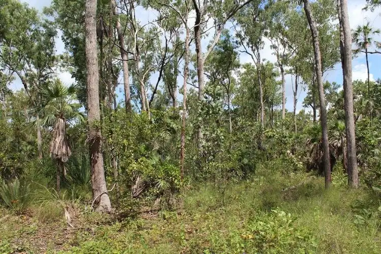 Sixth view of Homely rural property listing, 45 Threadfin Road, Dundee Downs NT 840