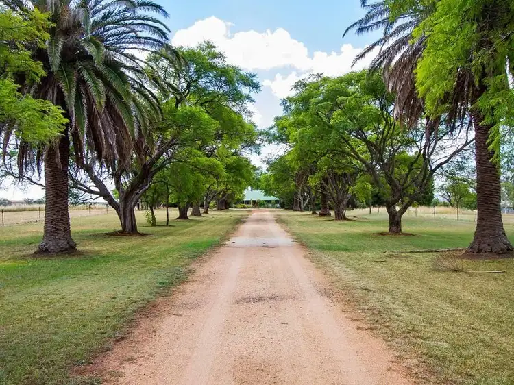 52 Roselea Road, Inverell NSW 2360