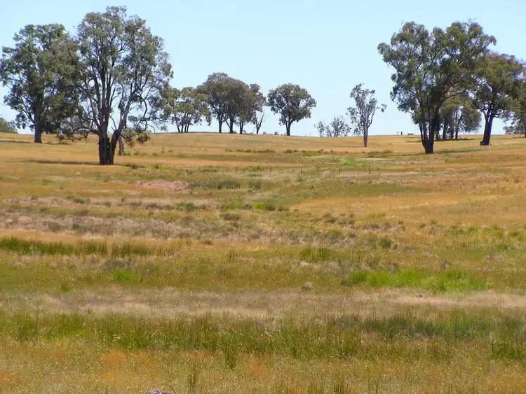 Fourth view of Homely rural property listing, 984 Bakers Creek, Bundarra NSW 2359