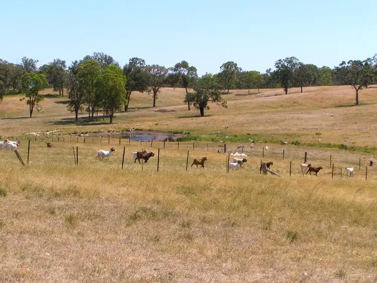 Fifth view of Homely rural property listing, 984 Bakers Creek, Bundarra NSW 2359