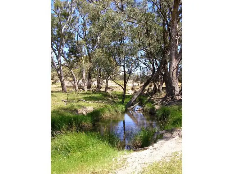 Seventh view of Homely rural property listing, 984 Bakers Creek, Bundarra NSW 2359