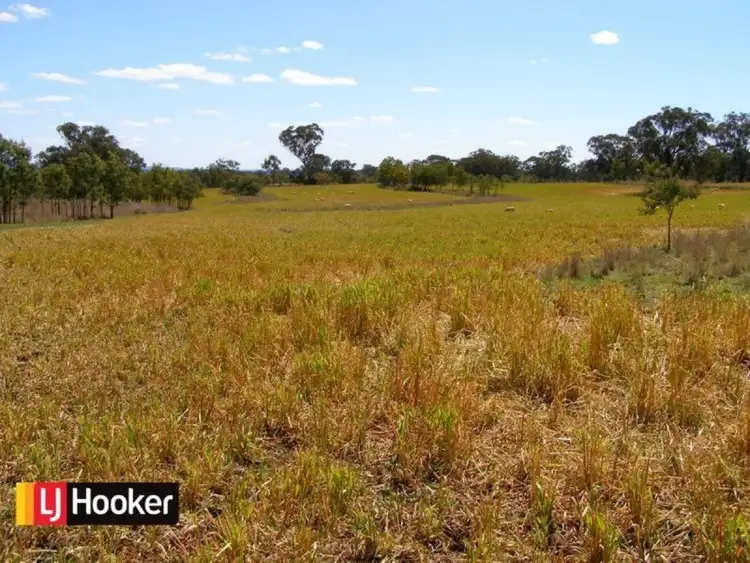 Fourth view of Homely rural property listing, 191 Halls Lane, Bukkulla NSW 2360