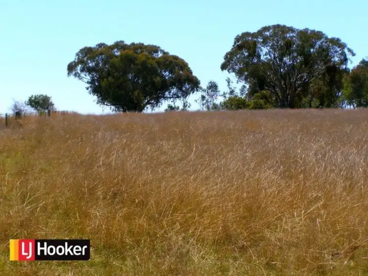 Sixth view of Homely rural property listing, 191 Halls Lane, Bukkulla NSW 2360