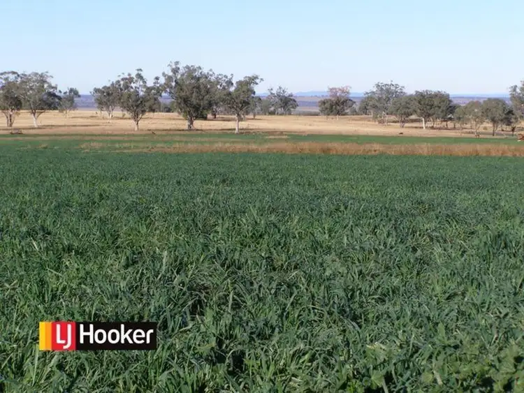 1655 Glenesk Road, Inverell NSW 2360