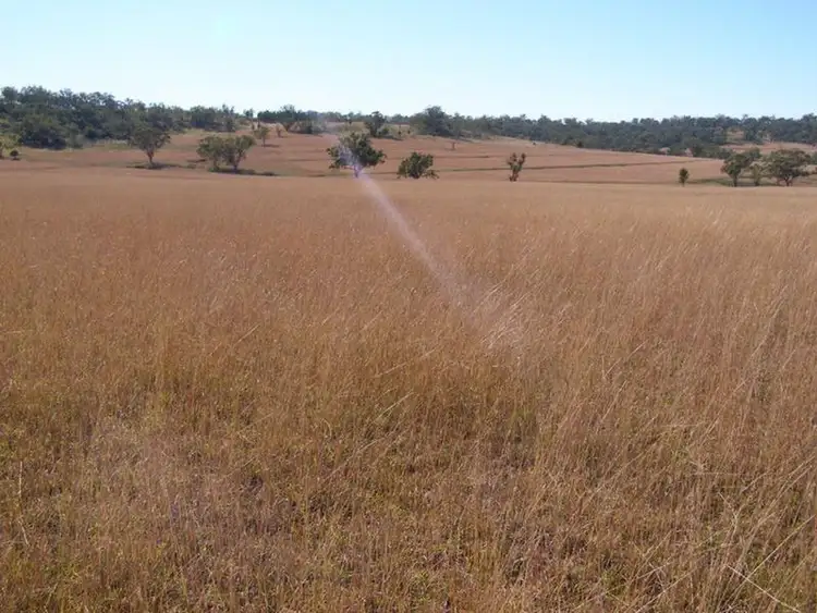 Sixth view of Homely rural property listing, 1655 Glenesk Road, Inverell NSW 2360