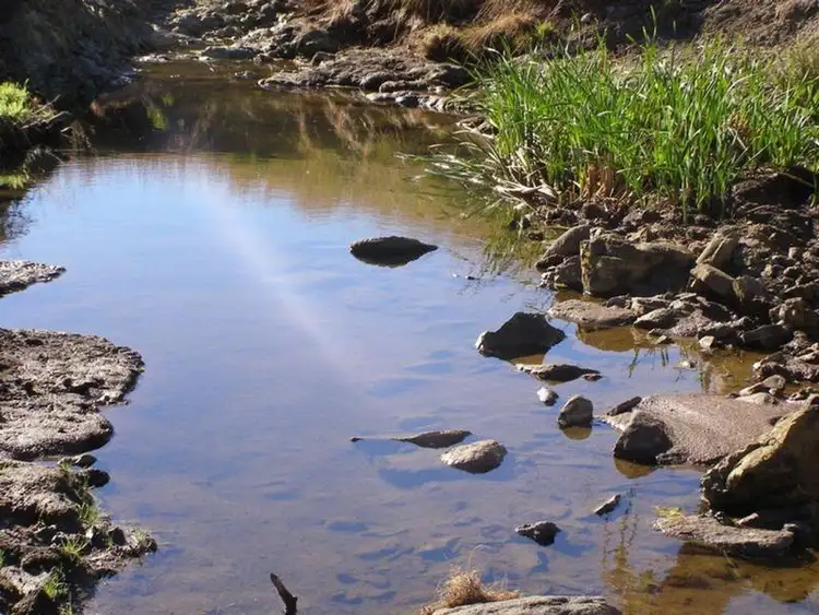 Seventh view of Homely rural property listing, 1655 Glenesk Road, Inverell NSW 2360