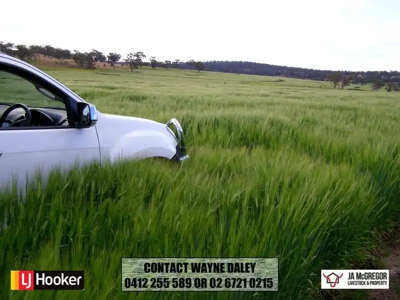 Main view of Homely rural property listing, Gragin Peak Road, Warialda NSW 2402