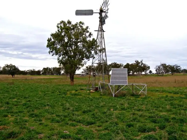 Second view of Homely rural property listing, 1049 Reserve Creek Road, Delungra NSW 2403