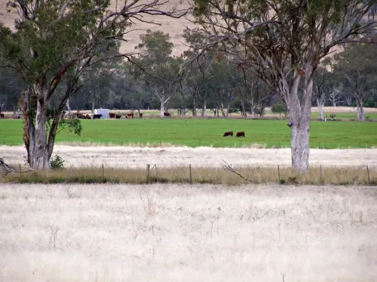 Fifth view of Homely rural property listing, 1049 Reserve Creek Road, Delungra NSW 2403
