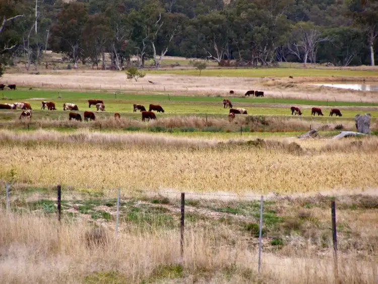 Sixth view of Homely rural property listing, 1049 Reserve Creek Road, Delungra NSW 2403