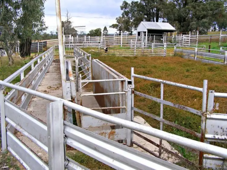 Seventh view of Homely rural property listing, 1049 Reserve Creek Road, Delungra NSW 2403