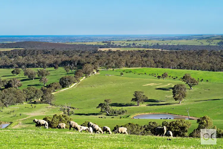 LOT 1 Lode Road, Ashbourne SA 5157
