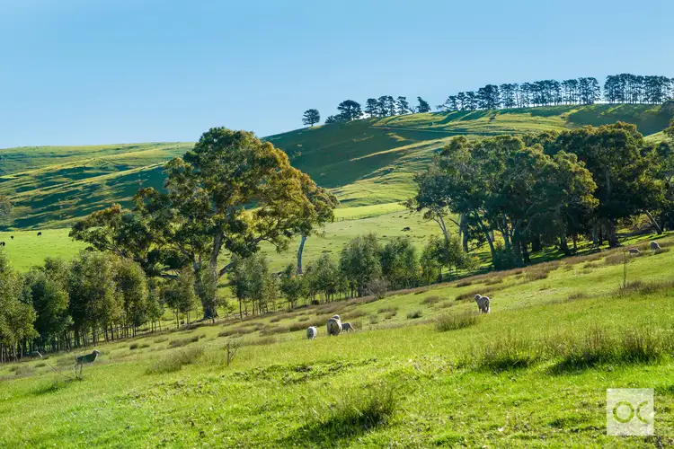 Fifth view of Homely land listing, LOT 1 Lode Road, Ashbourne SA 5157