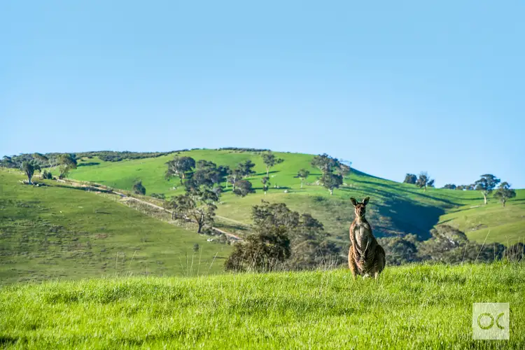 Sixth view of Homely land listing, LOT 1 Lode Road, Ashbourne SA 5157