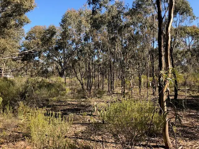 Main view of Homely rural property listing, LOT 9 Old Boort Road, Wedderburn VIC 3518