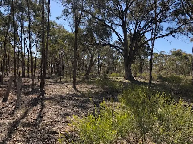 Second view of Homely rural property listing, LOT 9 Old Boort Road, Wedderburn VIC 3518