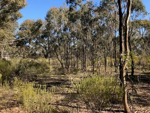 Third view of Homely rural property listing, LOT 9 Old Boort Road, Wedderburn VIC 3518