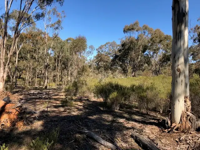 Fourth view of Homely rural property listing, LOT 9 Old Boort Road, Wedderburn VIC 3518