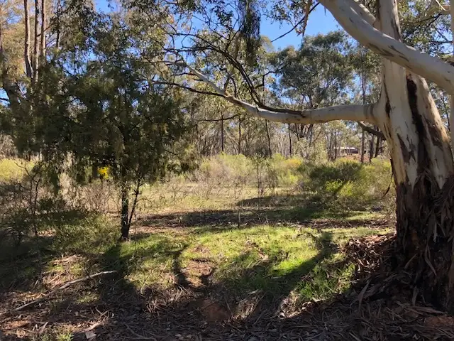 Seventh view of Homely rural property listing, LOT 9 Old Boort Road, Wedderburn VIC 3518
