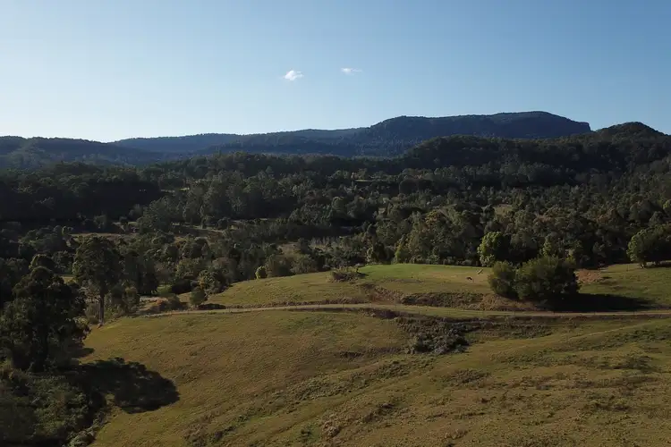 Third view of Homely rural property listing, Lot 8 Williams Road, Barkers Vale NSW 2474