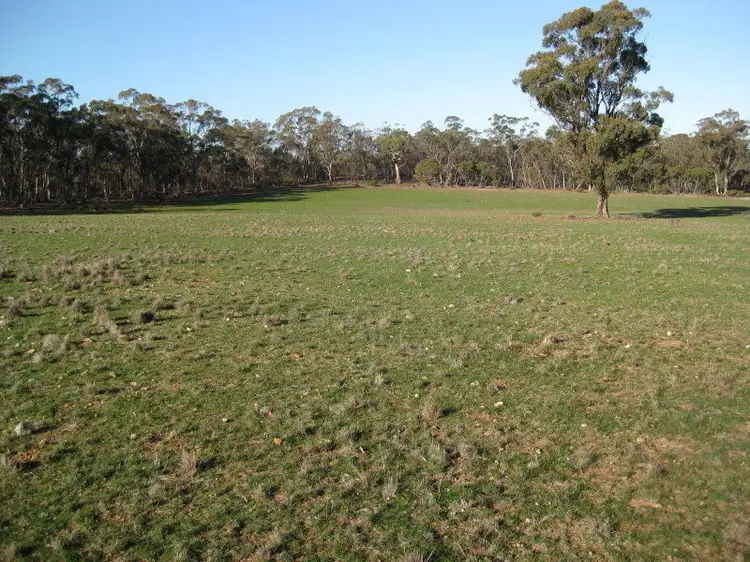 Main view of Homely rural property listing, CA7 & 7A Section 14, Wedderburn VIC 3518
