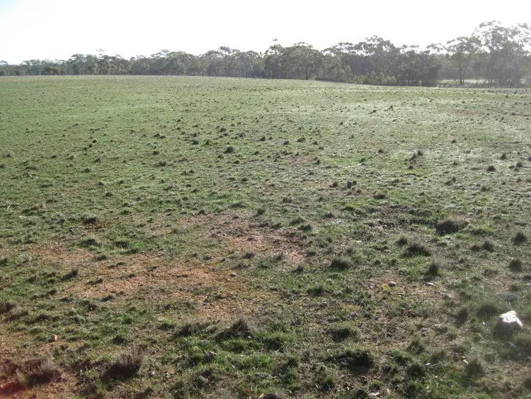 Seventh view of Homely rural property listing, CA7 & 7A Section 14, Wedderburn VIC 3518