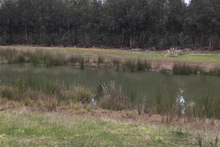 Sixth view of Homely rural property listing, Koenigs Road, Myamyn VIC 3304