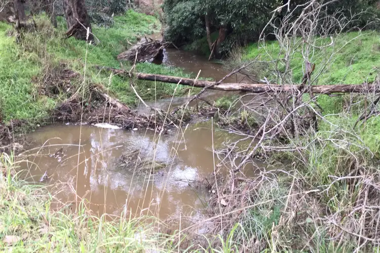 Seventh view of Homely rural property listing, Koenigs Road, Myamyn VIC 3304