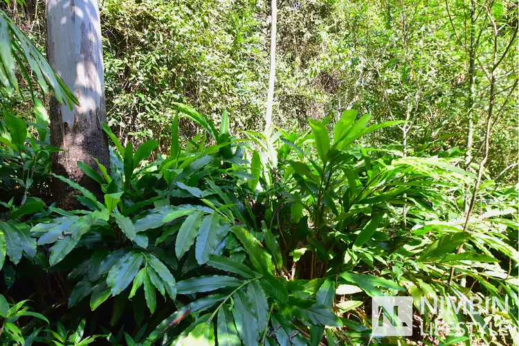 Main view of Homely rural property listing, 358 Boundary Creek Road, Bentley NSW 2480