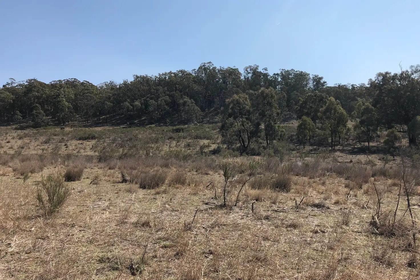 Main view of Homely rural property listing, 1019 Durridgerie Road, Mudgee NSW 2850